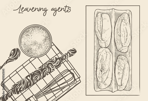 Leavening agent hand-drawn vector illustration