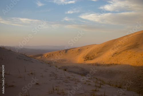 Mojave Desert Dunes
