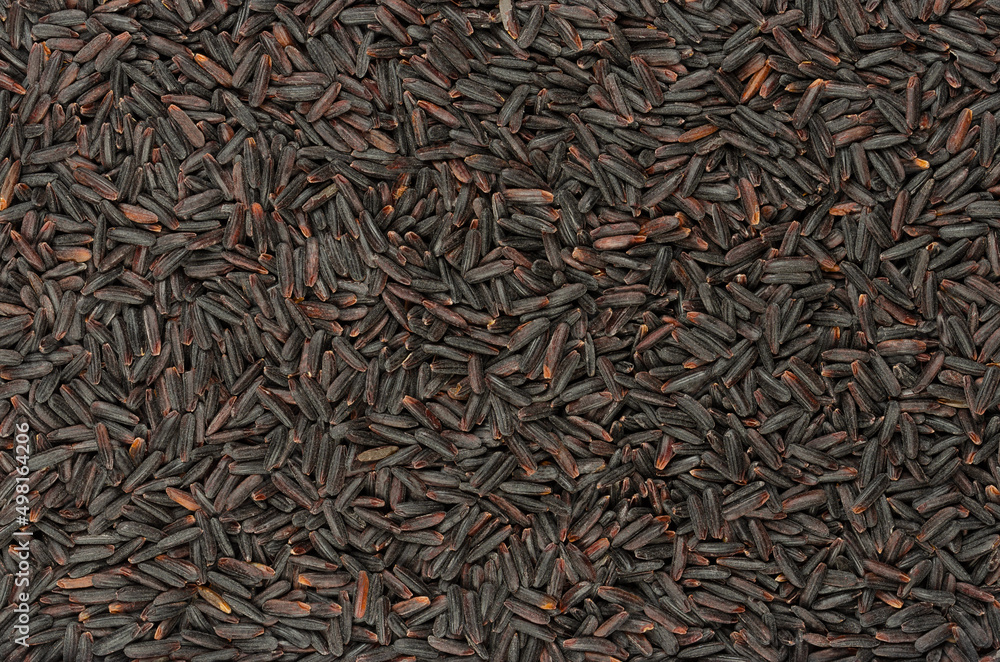 Riceberry rice grains, background and surface. Cross-bred rice variety from Thailand, with soft, deep purple whole grain rice grains, distinct from traditional black rice, a substitute for brown rice.