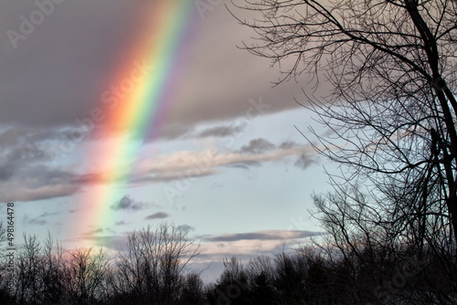 A rare vibrant winter rainbow