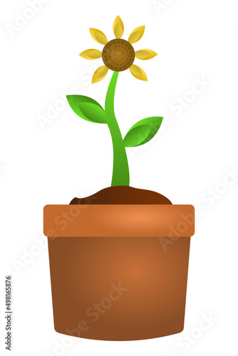 Flower plant illustration pot concept vector template