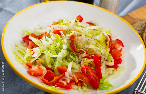 Plate of low calorie salad fresh red pepper, cabbage and onion