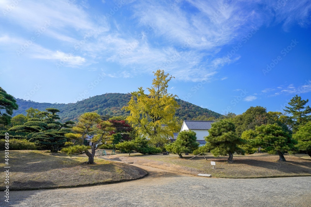 青空バックに見る色づき始めたイチョウの大木＠栗林公園、香川