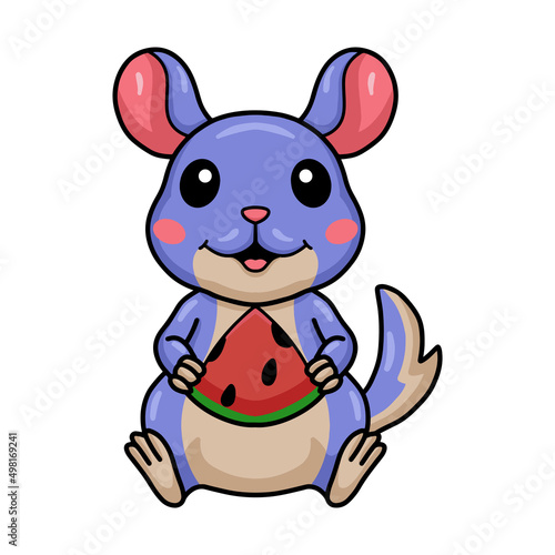 Cute little chinchilla cartoon eating watermelon