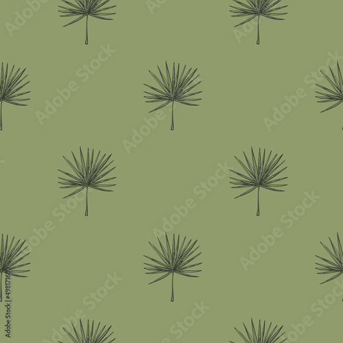 Fan palm leaves seamless pattern.Vintage tropical branch in engraving style.