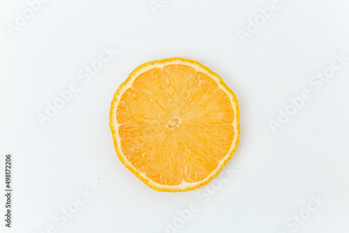 Fresh Citrus Fruit. Lemon  Orange  Mandarin  Grapefruit on Solid White Colored Background.