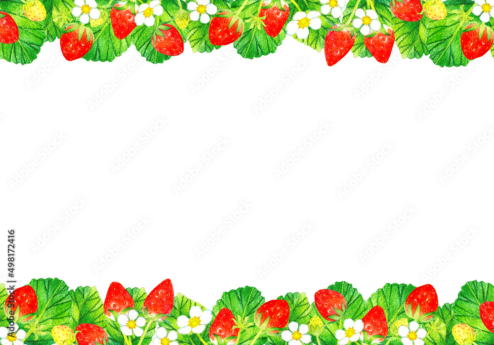 イチゴの果実 花 葉っぱの水彩イラスト背景素材 フルーツの手描きイラスト Stock Illustration Adobe Stock