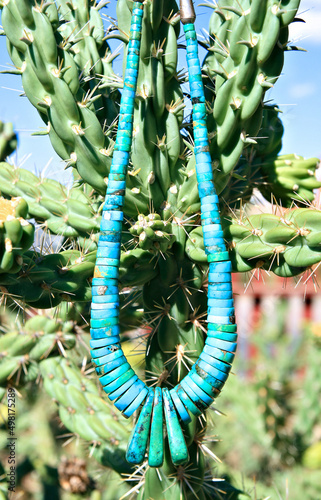 turquoise neck hung from catus photo