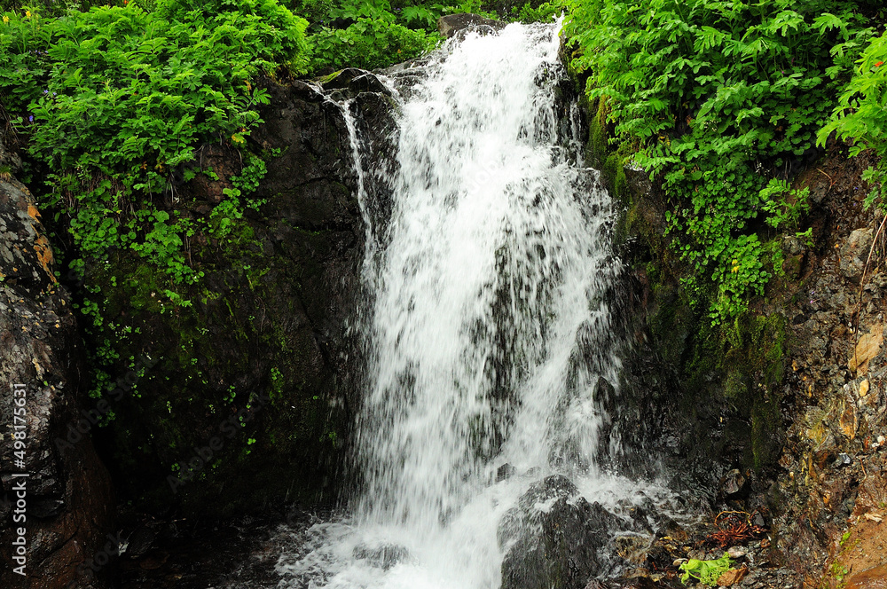 The river stream flows like a stormy waterfall from the rocky slope of the mountain overgrown with small shrubs.