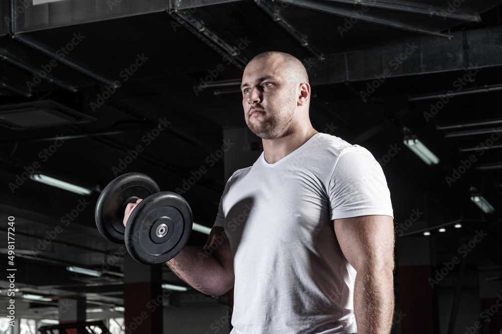 Male bodybuilder engaged with dumbbells in the gym Male bodybuilder engaged with dumbbells in the gym