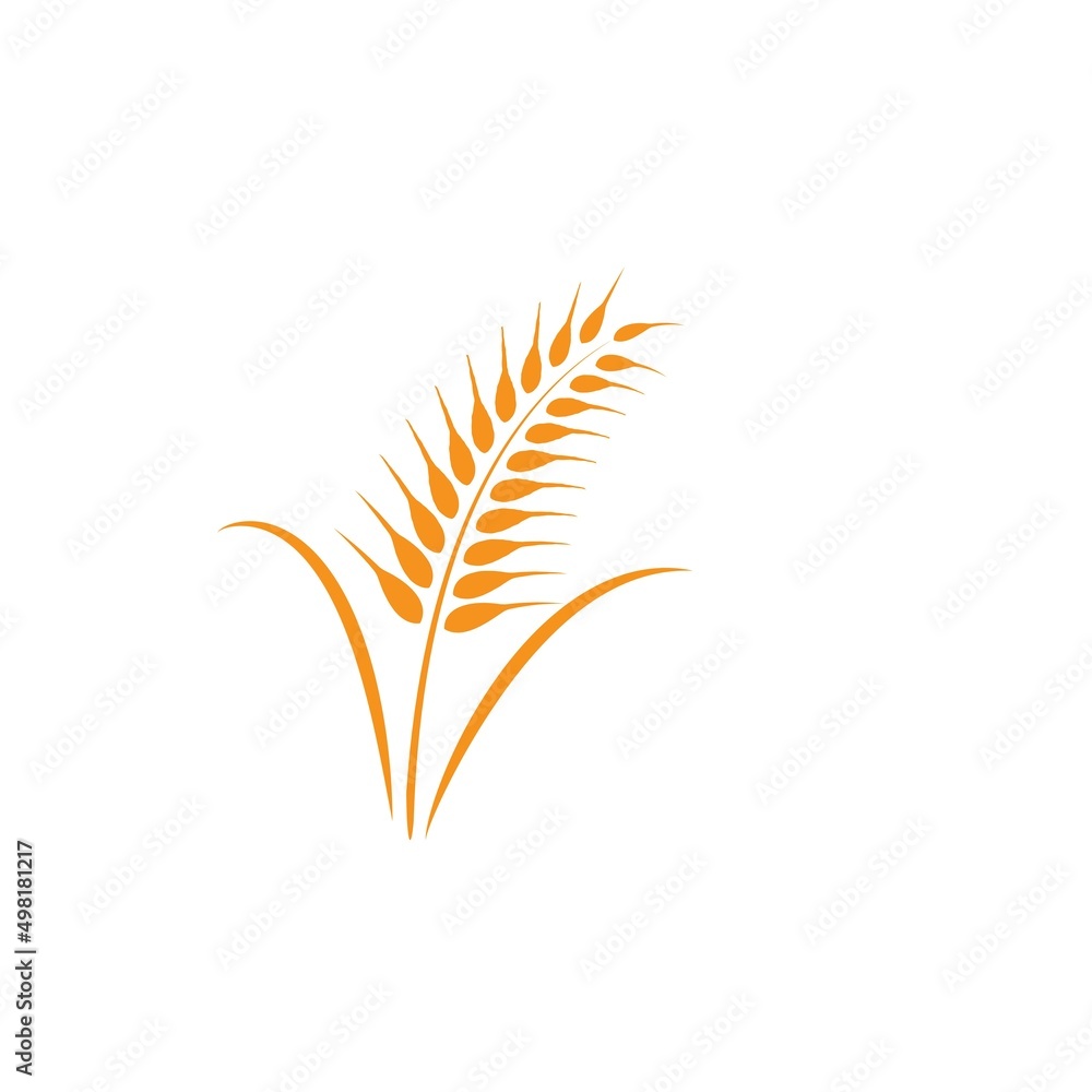 Obraz premium wheat logo vektor