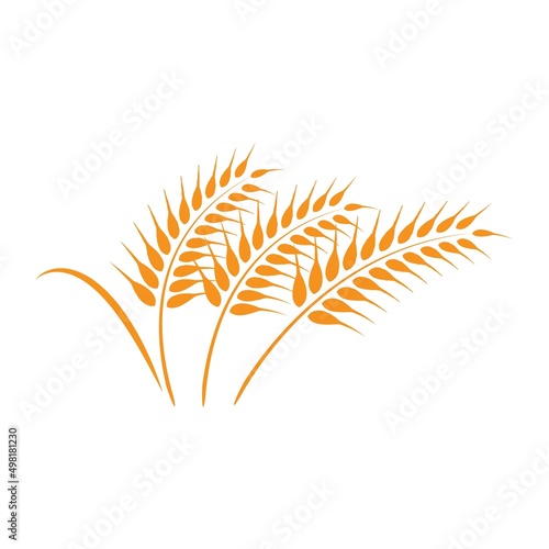 wheat logo vektor