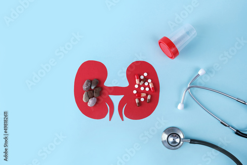 Kidney - human organs from paper on blue background. World kidney day and national organ donor day concept. Kidney stones and pills, medicines for treatment photo