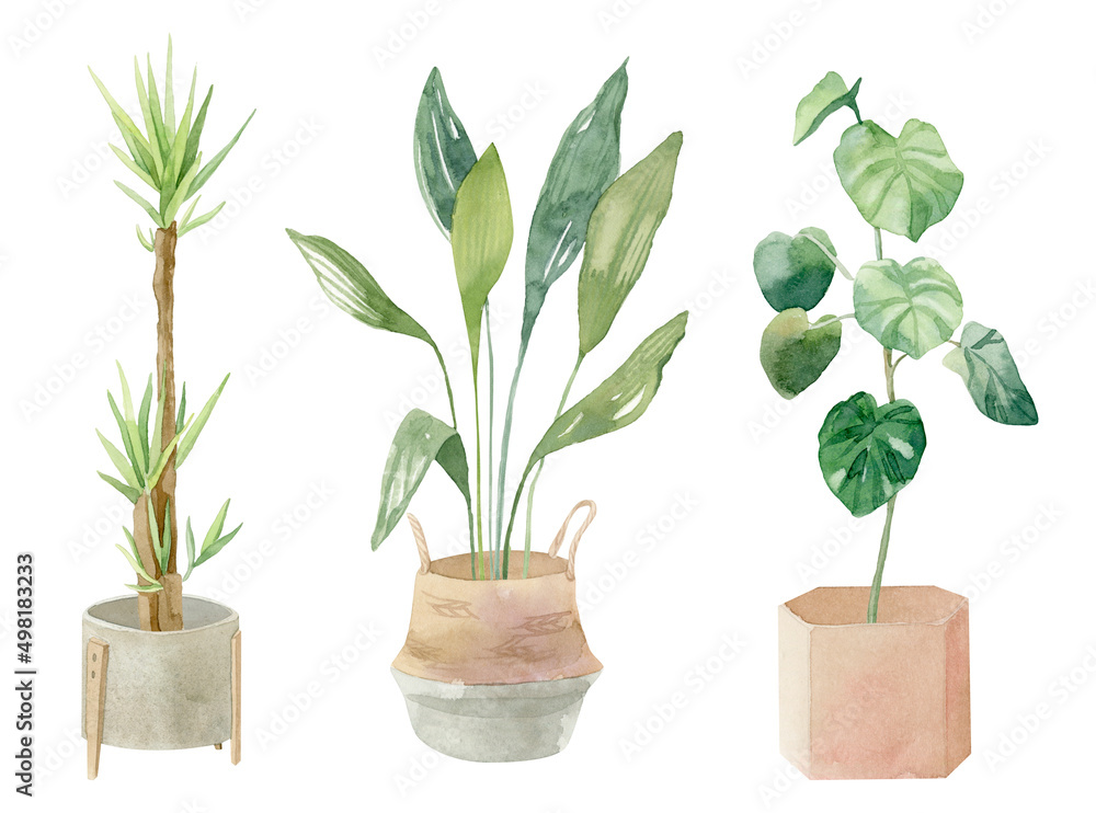 Fototapeta premium Different indoor and outdoor plants in pots - hand painted watercolor illustration - urban jungle. Perfect for invitations, cards, prints, posters.