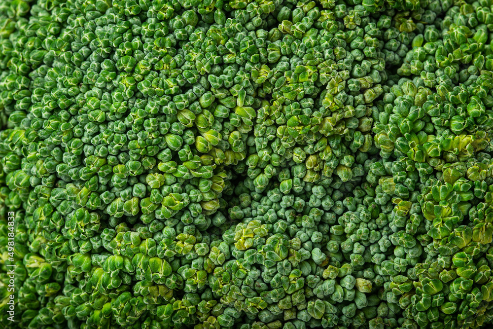 Closeup macro green texture view on broccoli vegetable background