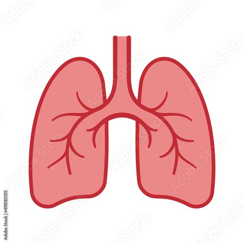 human lungs cartoon design isolated