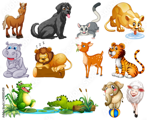 Set of animal cartoon character