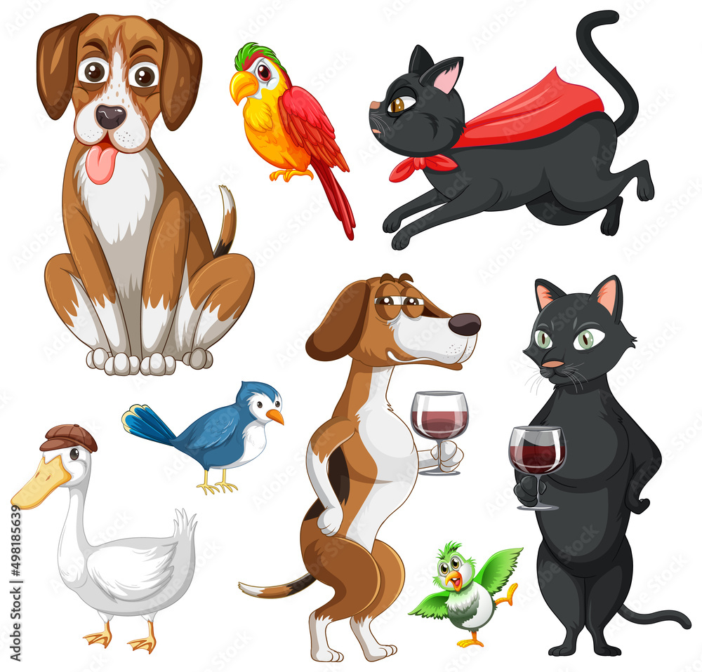 Set of different domestic animals on white background