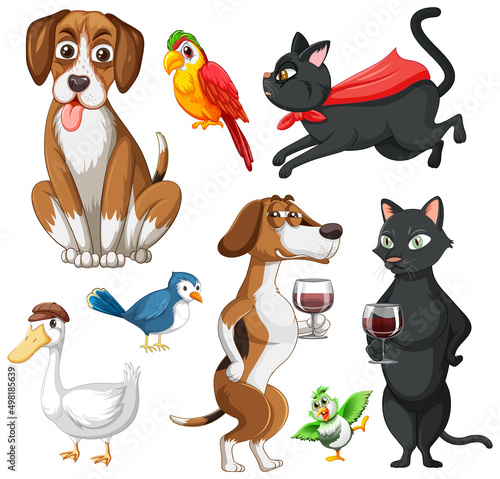 Set of different domestic animals on white background