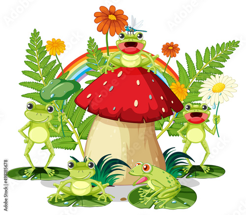 Frog living in nature