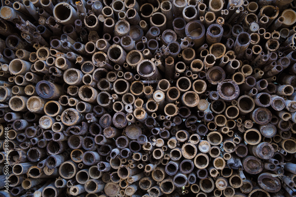 bamboos trypophobia 集合体恐怖症の人にとっては恐ろしいデザイン
bamboos trypophobia 集合体恐怖症の人にとっては恐ろしいデザイン