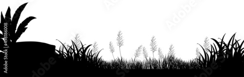 Silhouette plant in nature white background