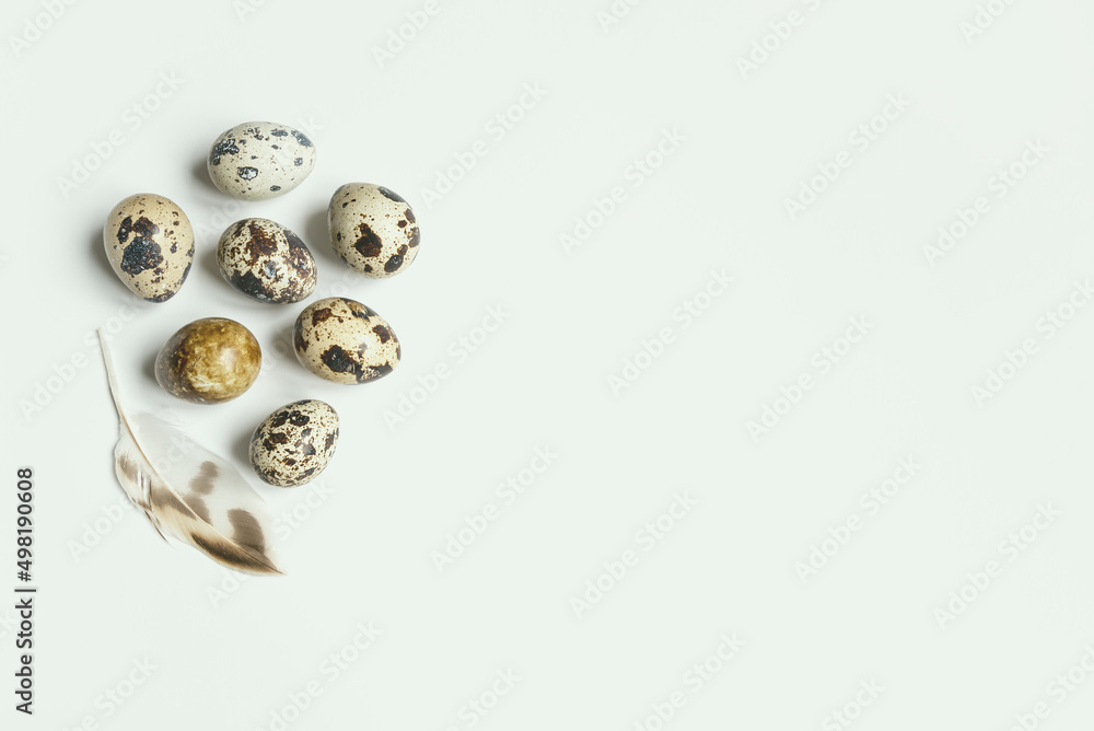 Easter composition of quail eggs and a feather on a pale pastel background. Flat lay, copy space. Easter composition of quail eggs and a feather on a pale pastel background. Flat lay, copy space.