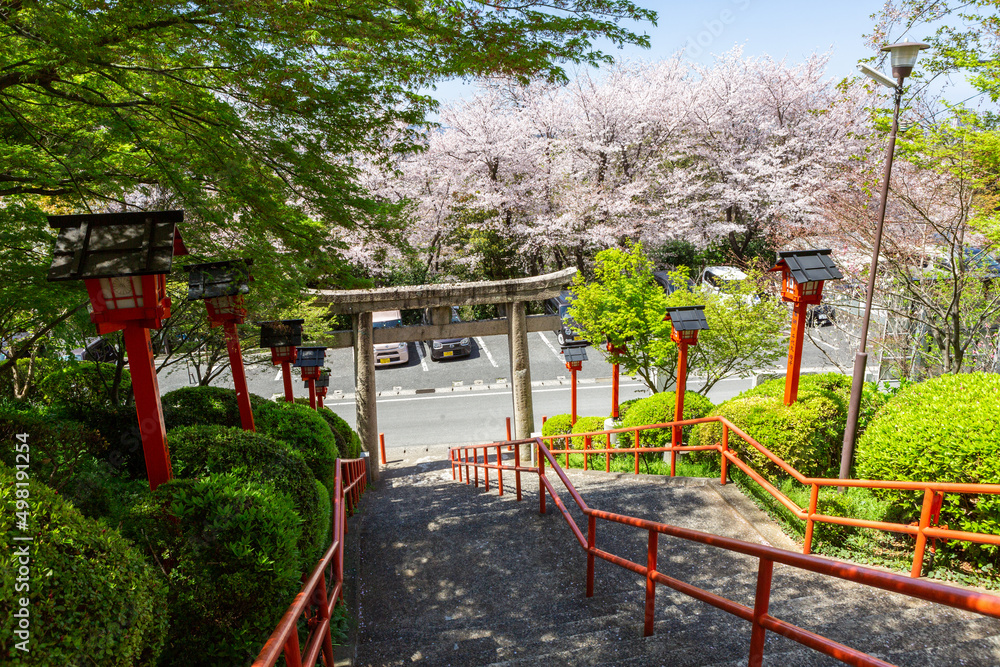 足立山妙見宮御祖神社と桜の風景　福岡県北九州市