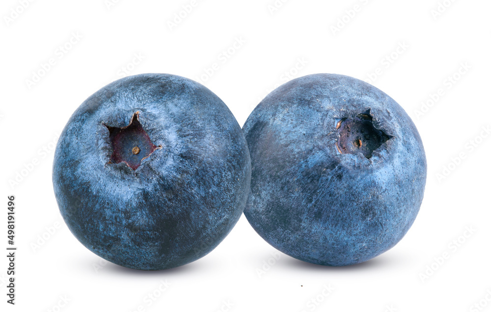 Blueberry isolated on white Blueberry isolated on white