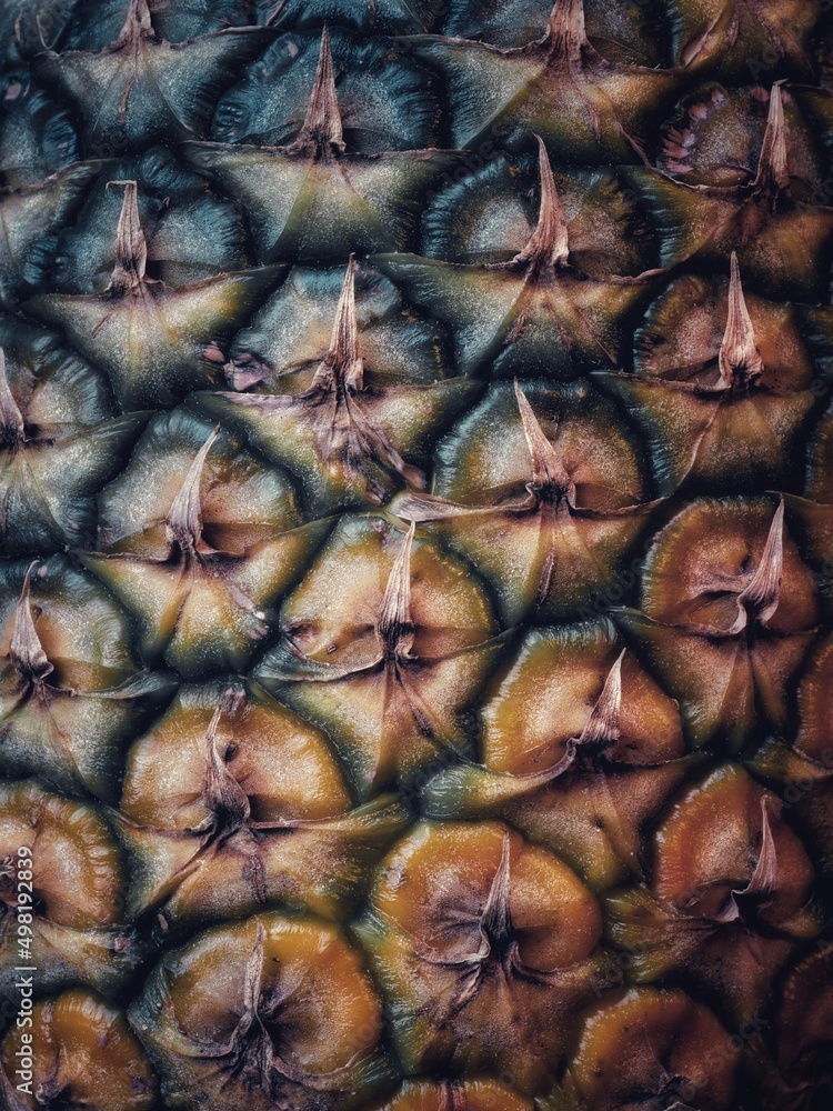 Close up shot of the skin of a pineapple
