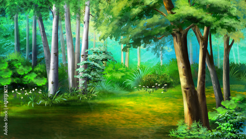 Obraz na plátně Forest glade on a sunny summer day 1