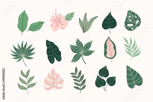 Modern tropical leaves set. Monstera ,palm,bananas leaves