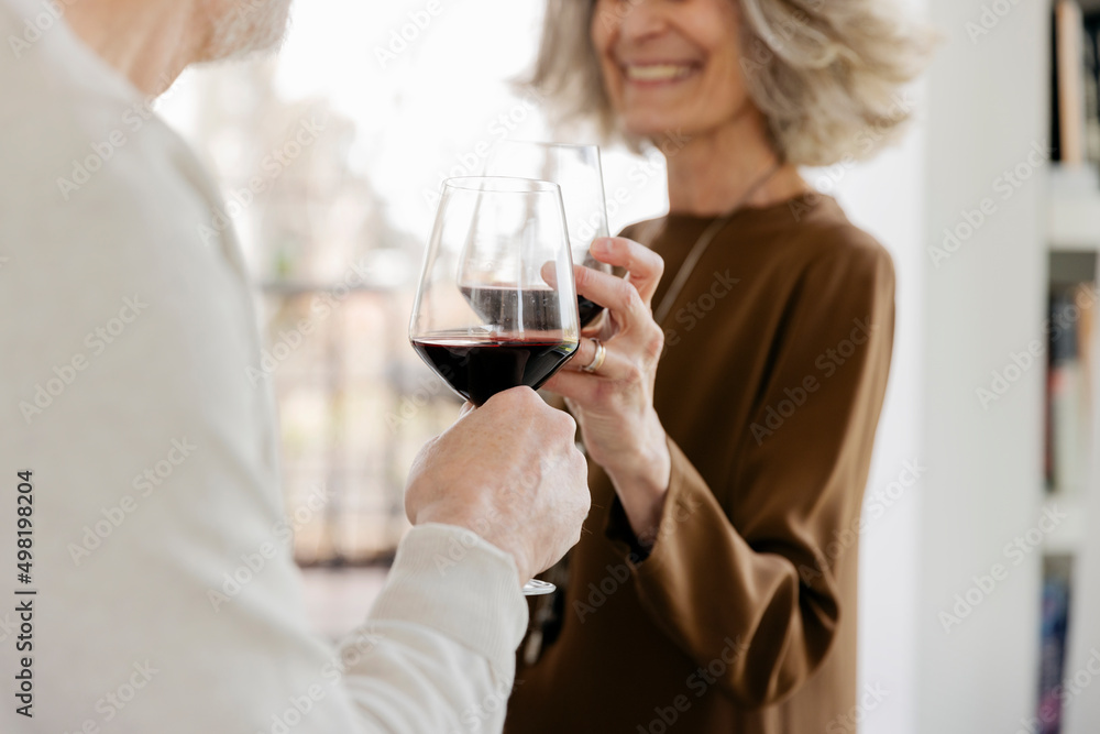 Senior couple toasting wineglasses at hotel apartment Senior couple toasting wineglasses at hotel apartment