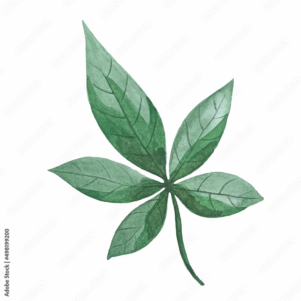 Fototapeta premium Watercolor green bouquet with leaves and branches. Greenery leaf hand-painted isolated. Can be used as being an element in the decorative design of invitation, wedding or greeting cards.