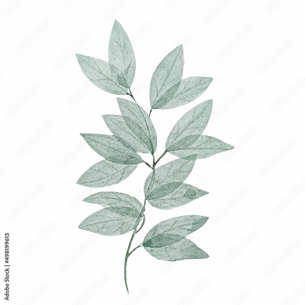 Naklejka premium Watercolor green bouquet with leaves and branches. Greenery leaf hand-painted isolated. Can be used as being an element in the decorative design of invitation, wedding or greeting cards.