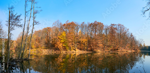 Beautiful lake in autumn. The golden foliage of the trees is reflected in the blue water. Indian summer landscape
