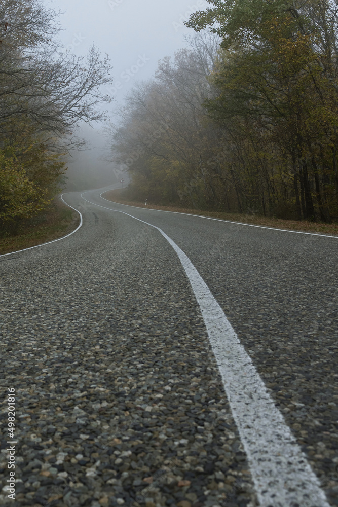 A solid white line on a country road winds through a foggy forest. Asphalt road and autumn forest on a foggy morning. Mysterious landscape.