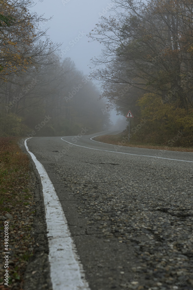Fototapeta premium A country road winds its way through the fog in an autumn forest. Asphalt road and forest on a foggy morning. Mysterious landscape.