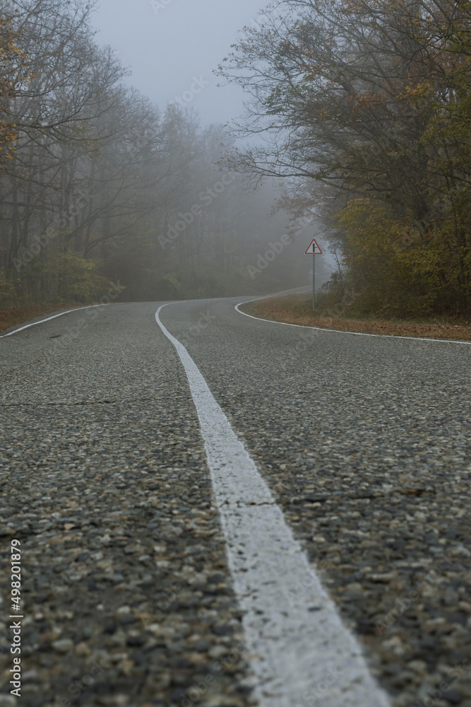 Bottom view center solid white line on a country road in a foggy forest. Asphalt road and autumn forest on a foggy morning. Mysterious landscape. Bottom view center solid white line on a country road in a foggy forest. Asphalt road and autumn forest on a foggy morning. Mysterious landscape.