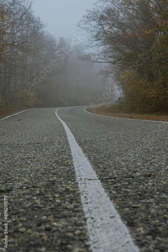 Bottom view center solid white line on a country road in a foggy forest. Asphalt road and autumn forest on a foggy morning. Mysterious landscape.