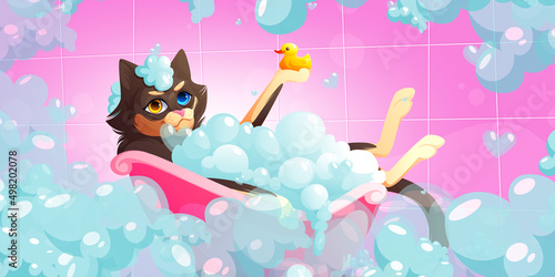 Cat wash in bathtub in pet grooming salon. Vector cartoon illustration of kitten with heterochromia taking bath with soap foam and duck. Spa for domestic animals