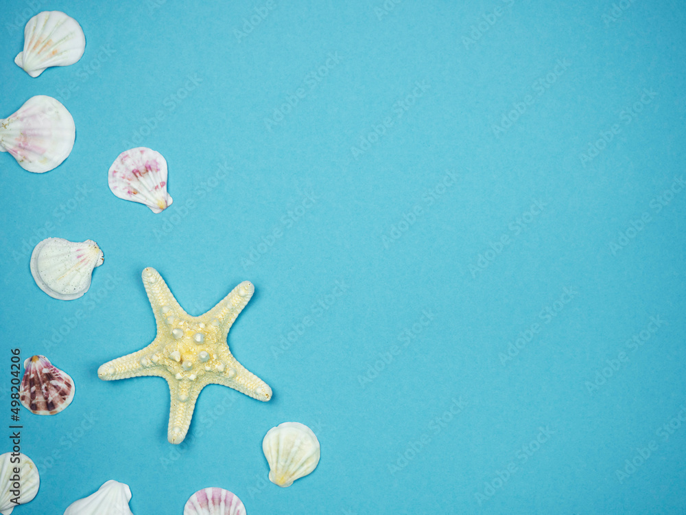 Starfish with seashells on blue background. Recreation Concept Starfish with seashells on blue background. Recreation Concept
