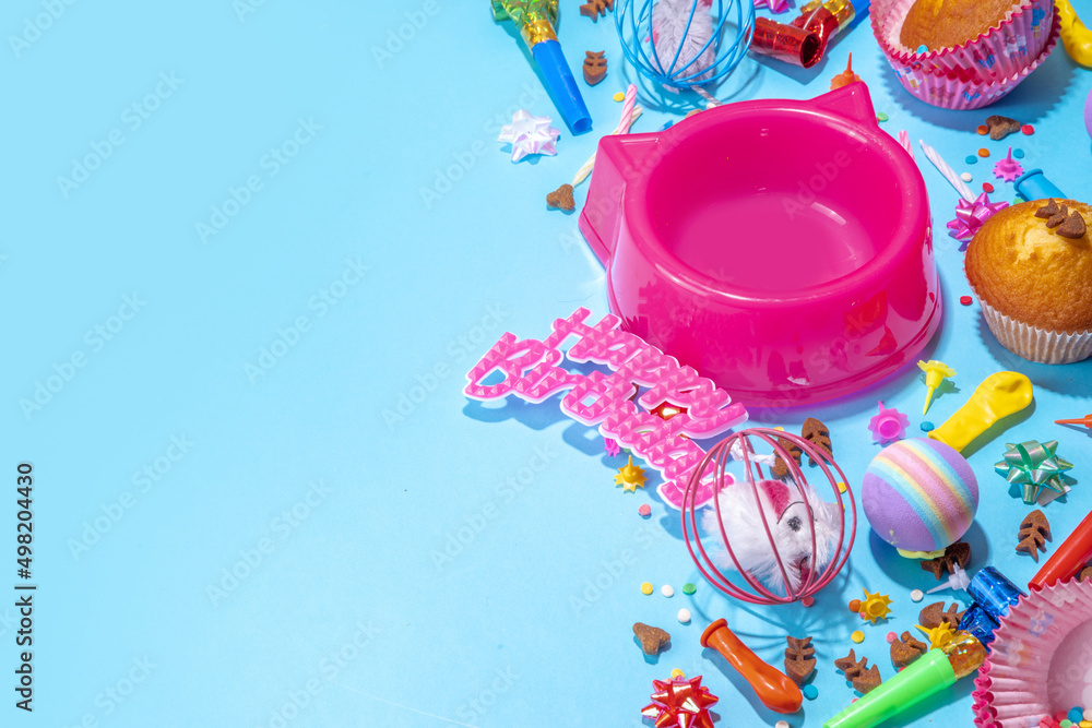 Pet happy birthday background with set different cats and kitty snack