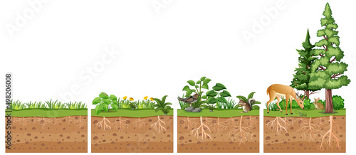 Scientific education of plant and its root