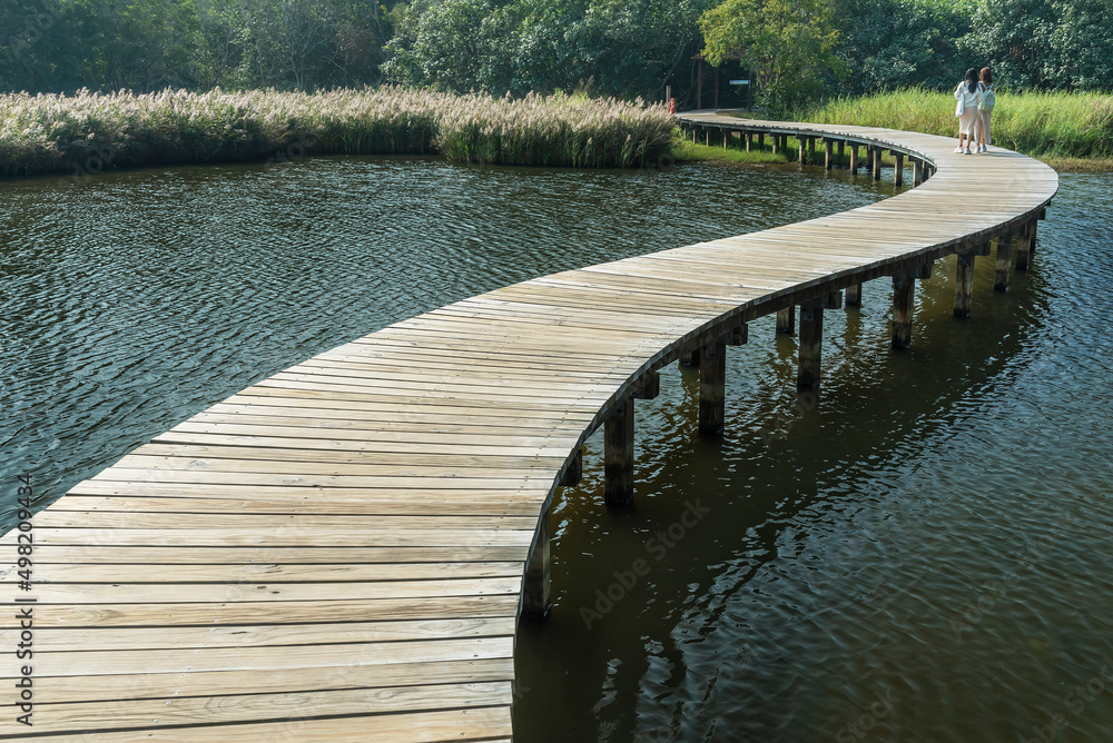 Tourist walking on wooden trail in Hong Kong wetland park