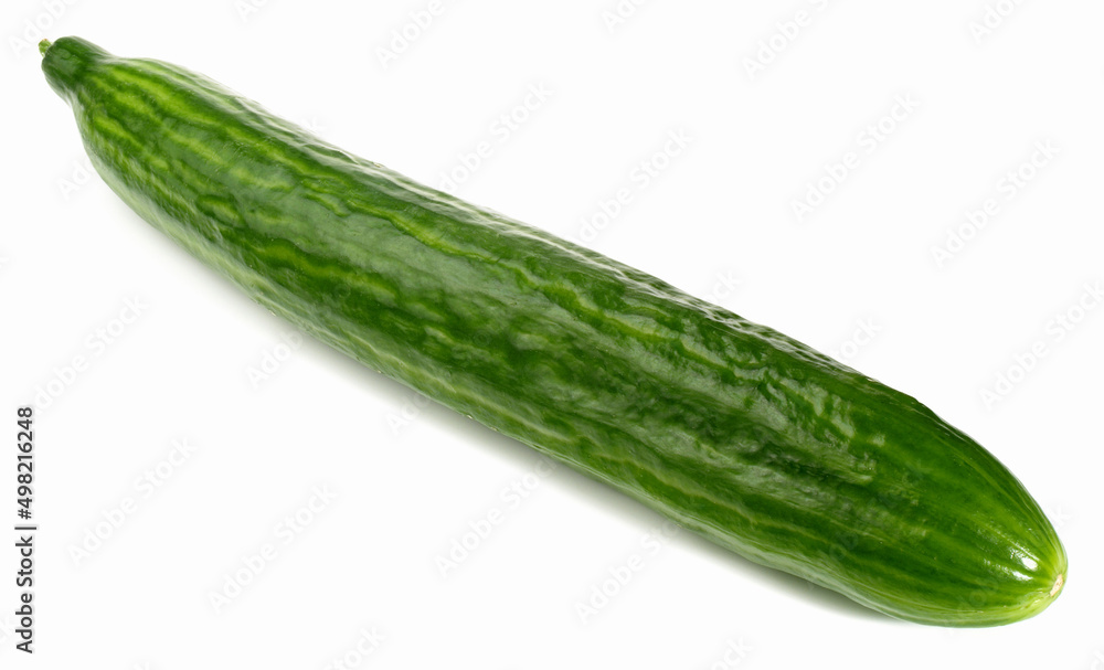 Whole Cucumber isolated on white Background Whole Cucumber isolated on white Background