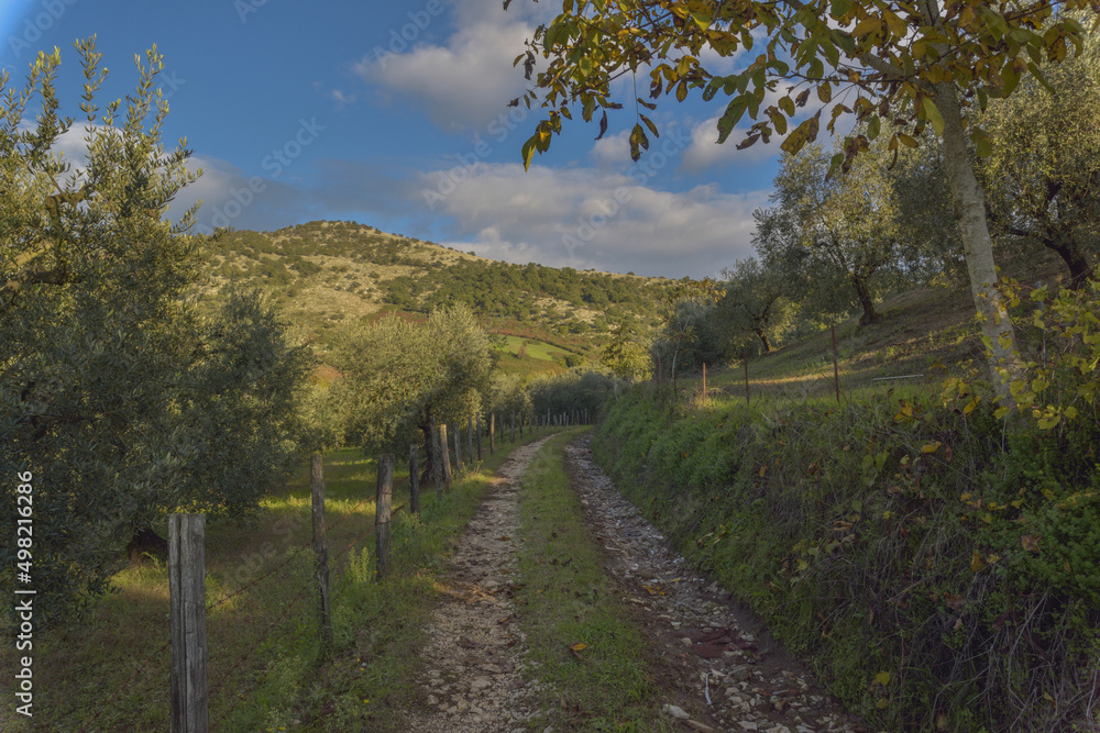 Campagna romana Campagna romana
