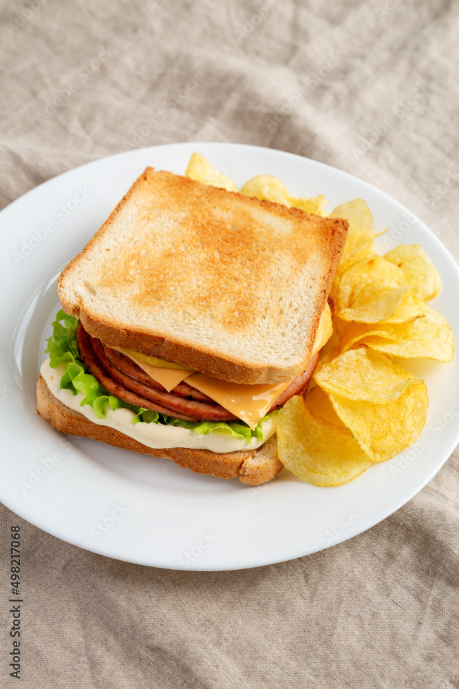 Homemade Fried Bologna and Cheese Sandwich with Chips on a Plate, side view.