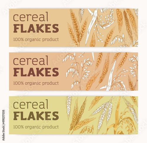 Ad banners set with cereal crops. Organic grain food, products, horizontal backgrounds in vintage style. Promo designs, templates with oat, wheat, barley spikelets. Hand-drawn vector illustrations