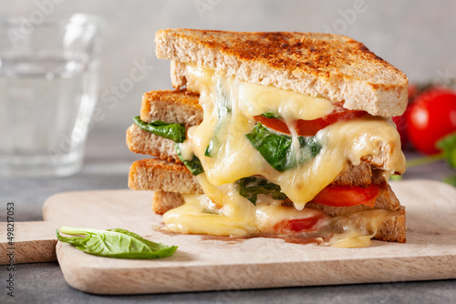 grilled cheese spinach and tomato sandwich on concrete background